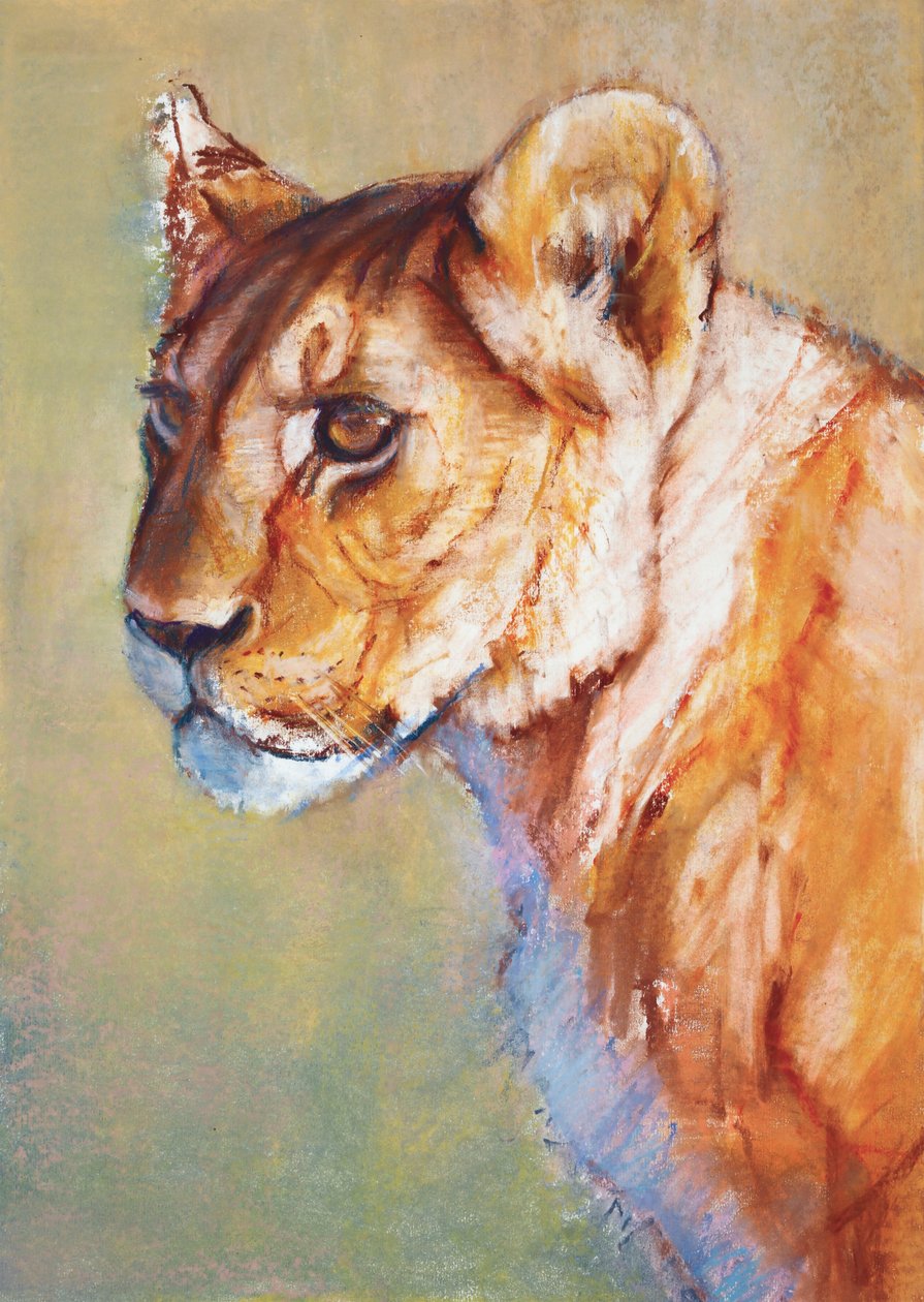 Kilátó, 2019 alkotó: Mark Adlington