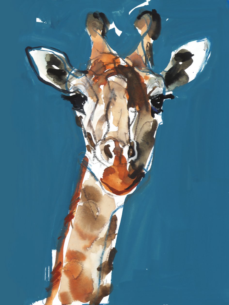 Masai zsiráf, 2018 alkotó: Mark Adlington