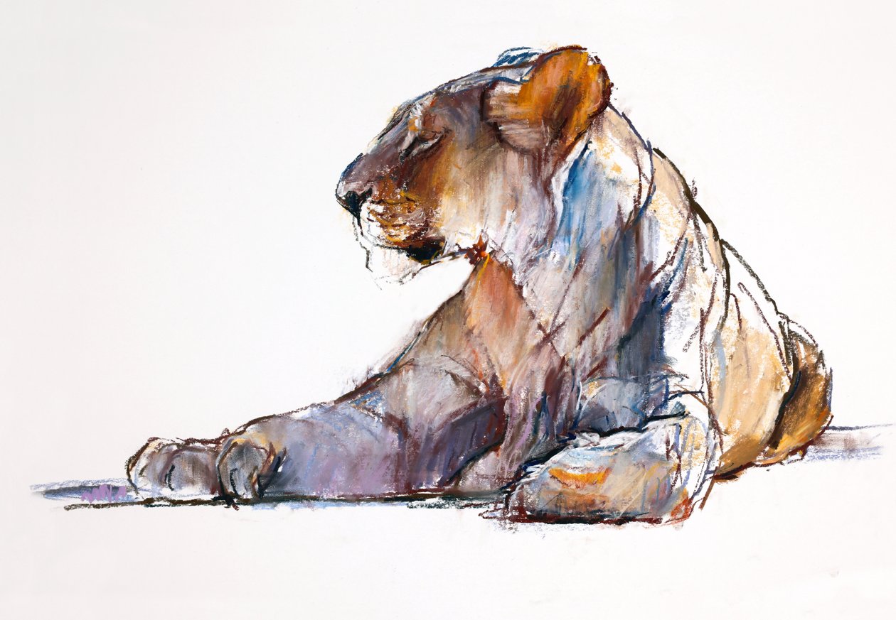 Reggel, 2019 alkotó: Mark Adlington