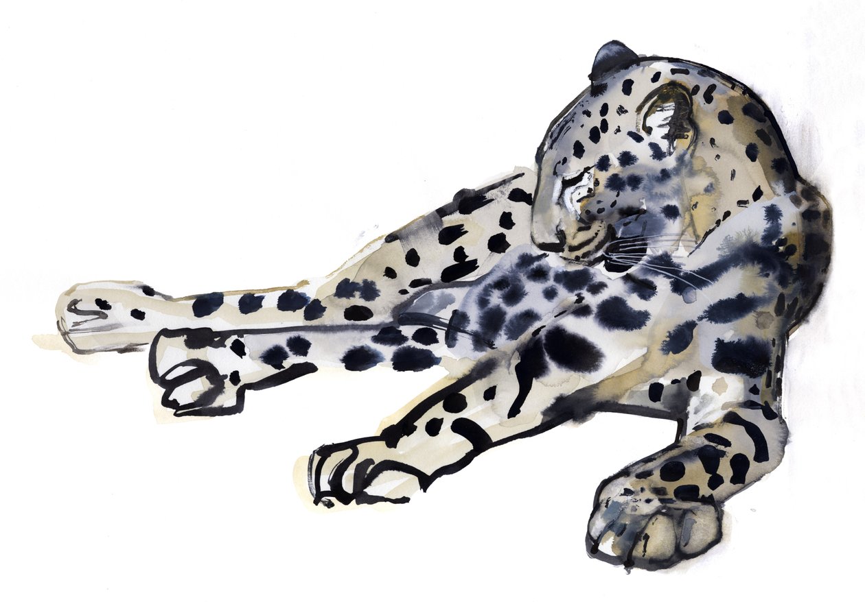 Fekvő (arab leopárd), 2008 alkotó: Mark Adlington