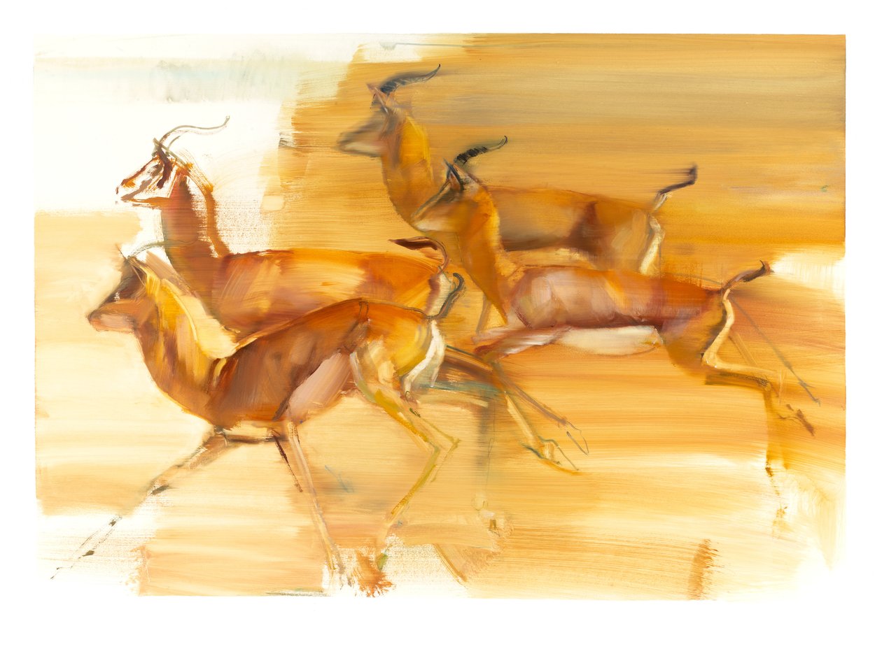 Futó gazellák, 2010 (olaj, papír) alkotó: Mark Adlington
