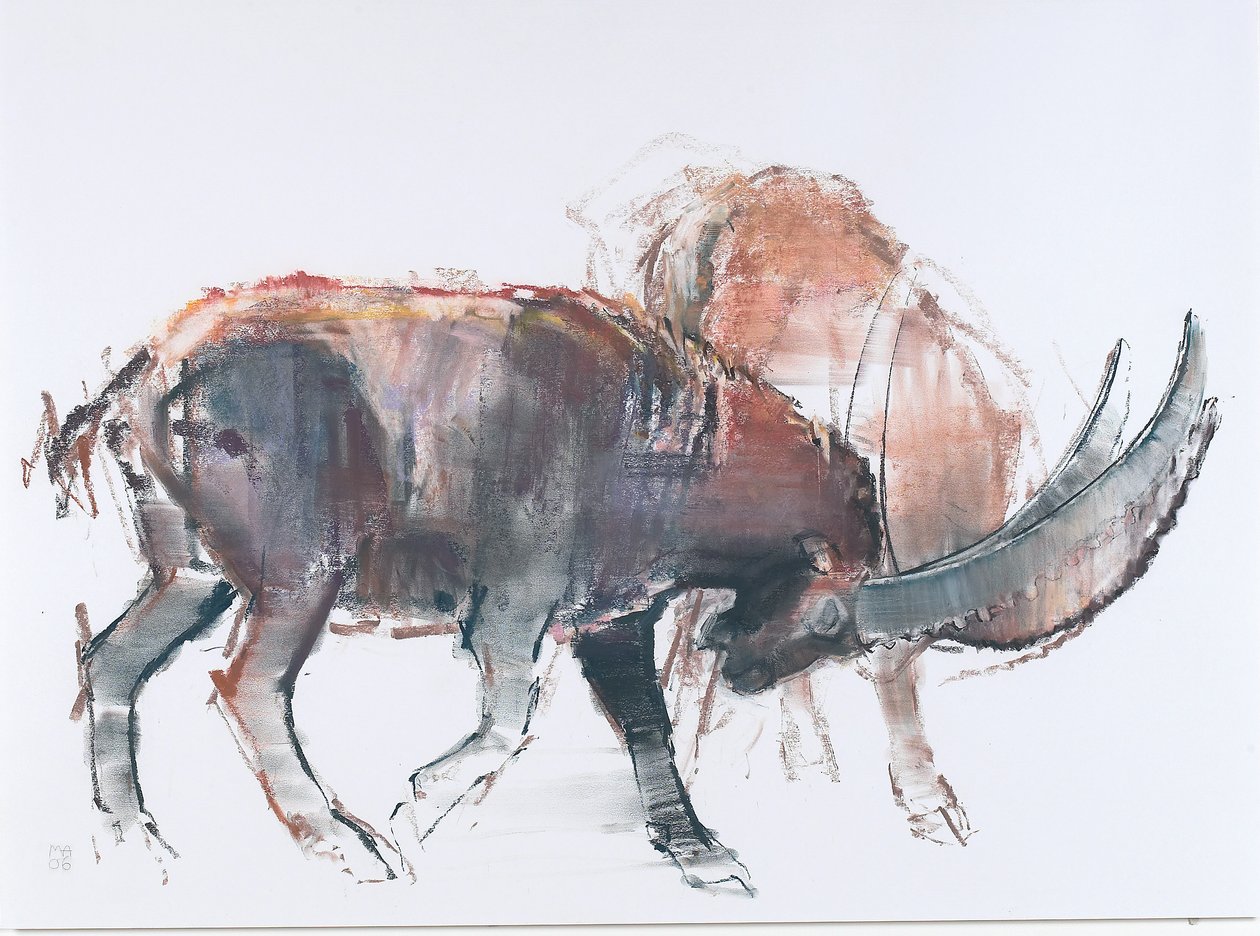 Scimitar, 2006 (szén és konte papíron) alkotó: Mark Adlington