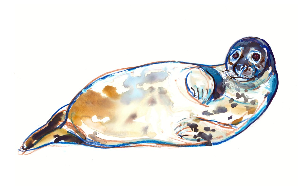 Senseal, 2022 alkotó: Mark Adlington