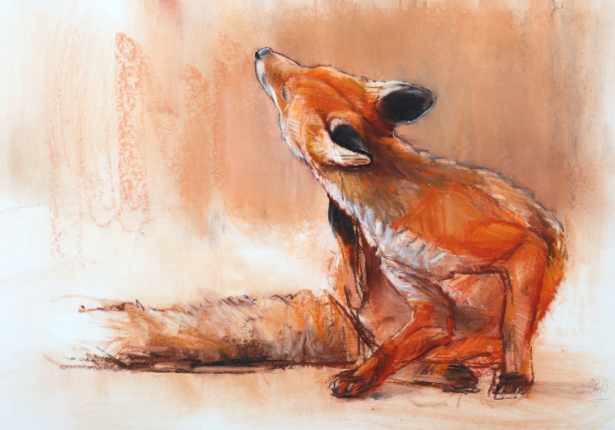 Tavaszi Vixen, 2022 alkotó: Mark Adlington
