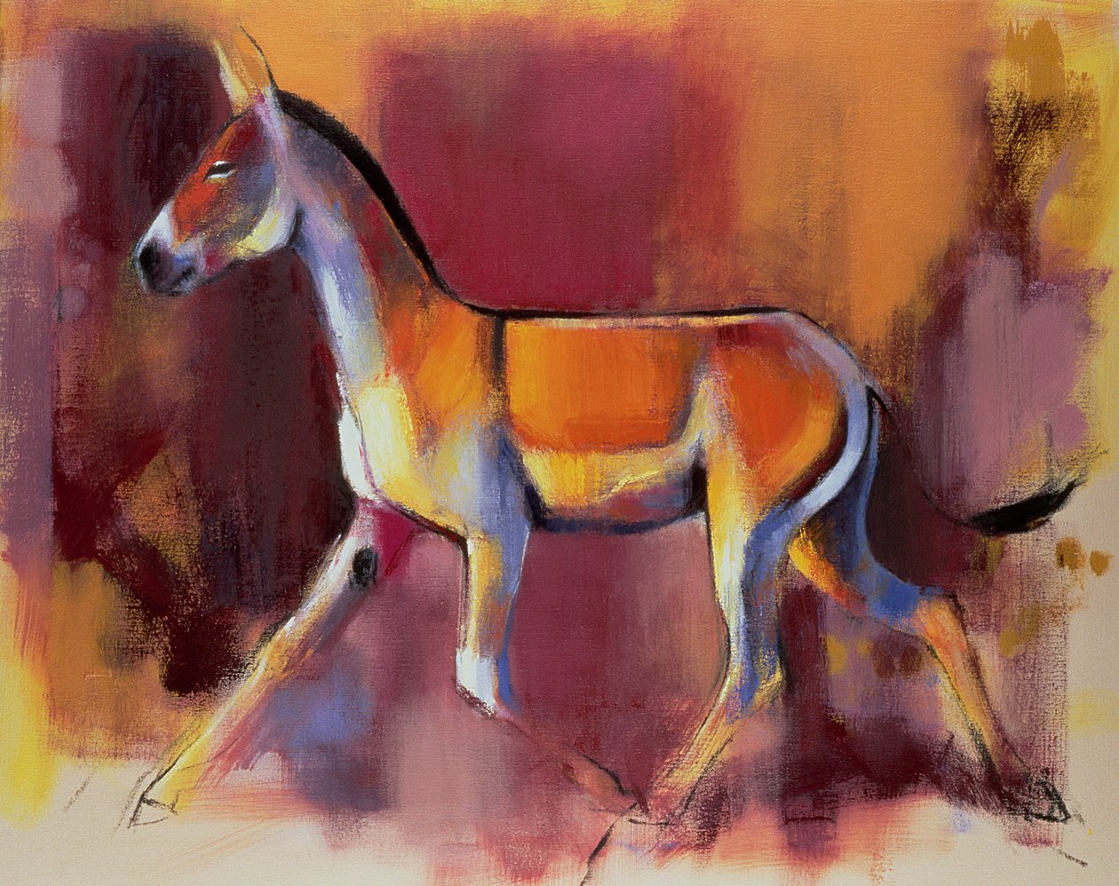 Wild Ass, Rann of Kutch, 1996 alkotó: Mark Adlington