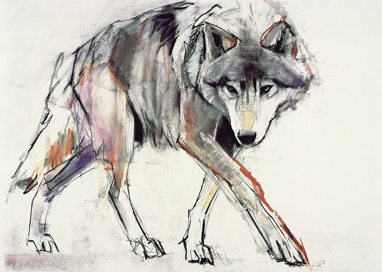 Wolf (vegyes technika papíron) alkotó: Mark Adlington