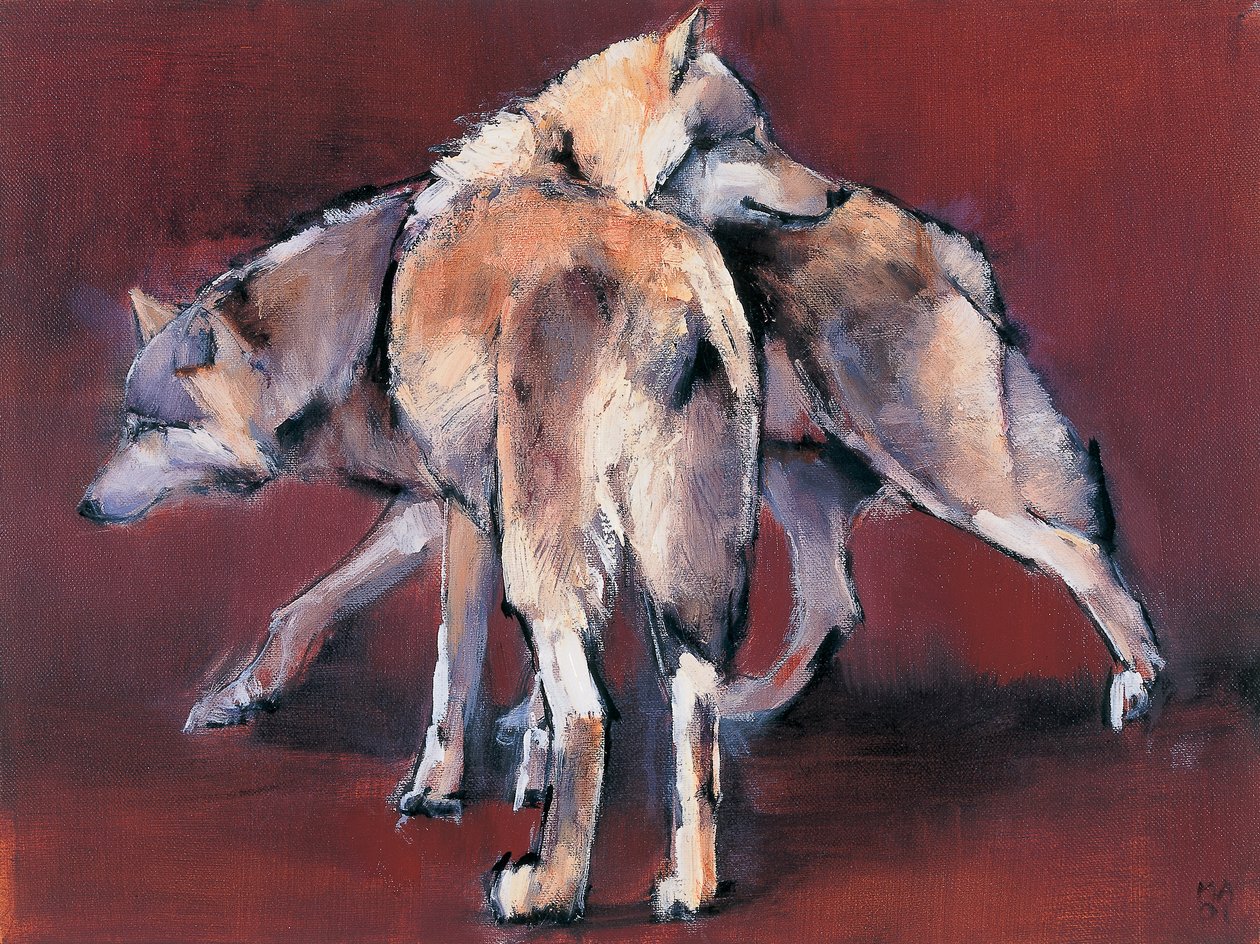Wolf kompozíció, 2001 alkotó: Mark Adlington