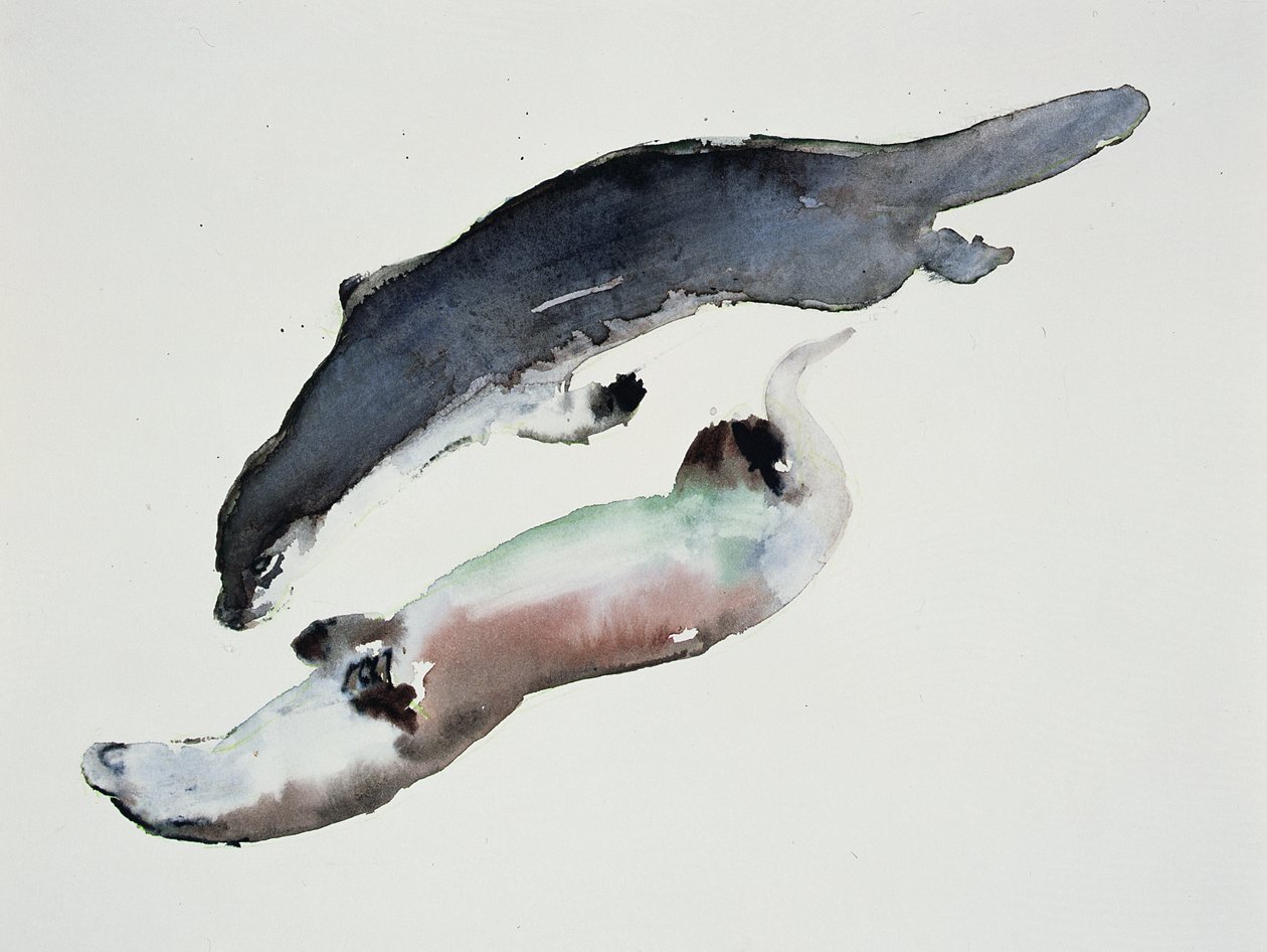 Yin Yang alkotó: Mark Adlington