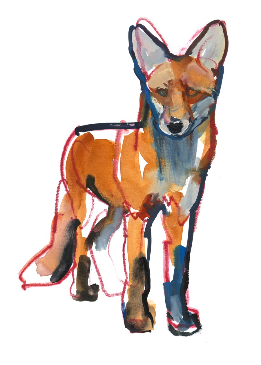 Fiatal Fox, 2021 alkotó: Mark Adlington
