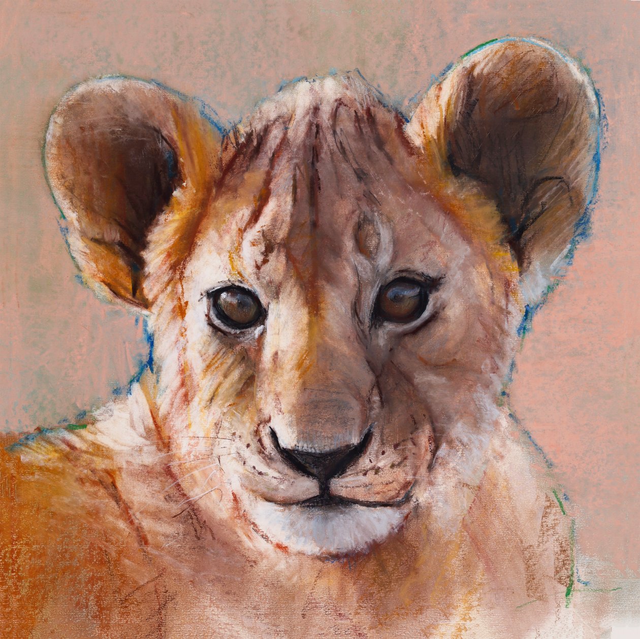 Legfiatalabb kölyök, Masai Mara, 2019 alkotó: Mark Adlington