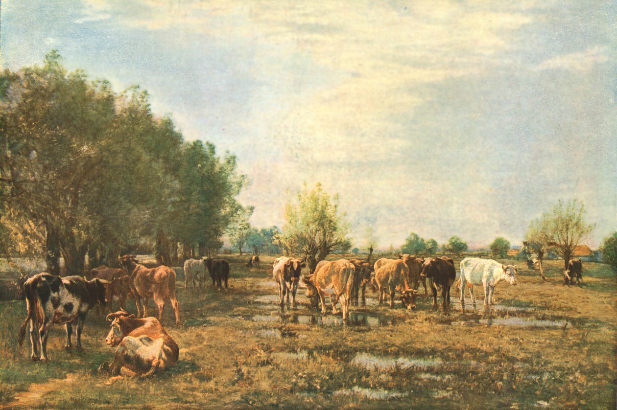 Láprétek szarvasmarhákkal, 1877, c1930. alkotó: Mark Fisher