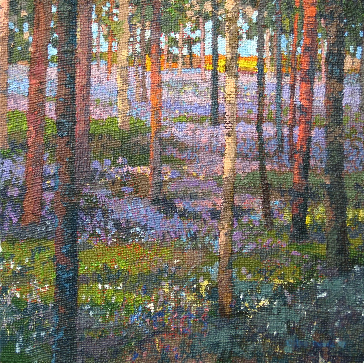 Késő Bluebell Wood, 2014 alkotó: Martin Decent
