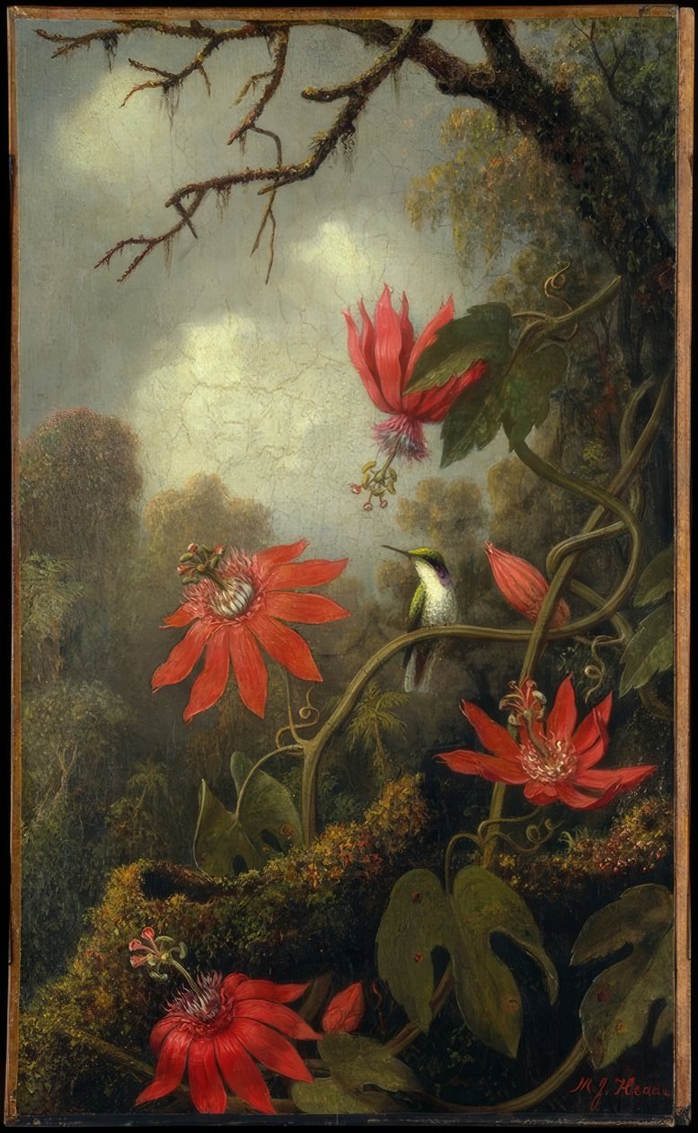 Kolibri és golgotavirág alkotó: Martin Johnson Heade
