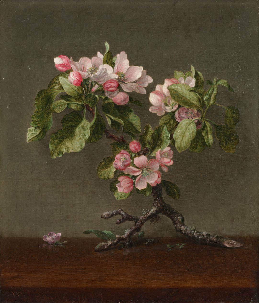Almavirágok, 1873. alkotó: Martin Johnson Heade