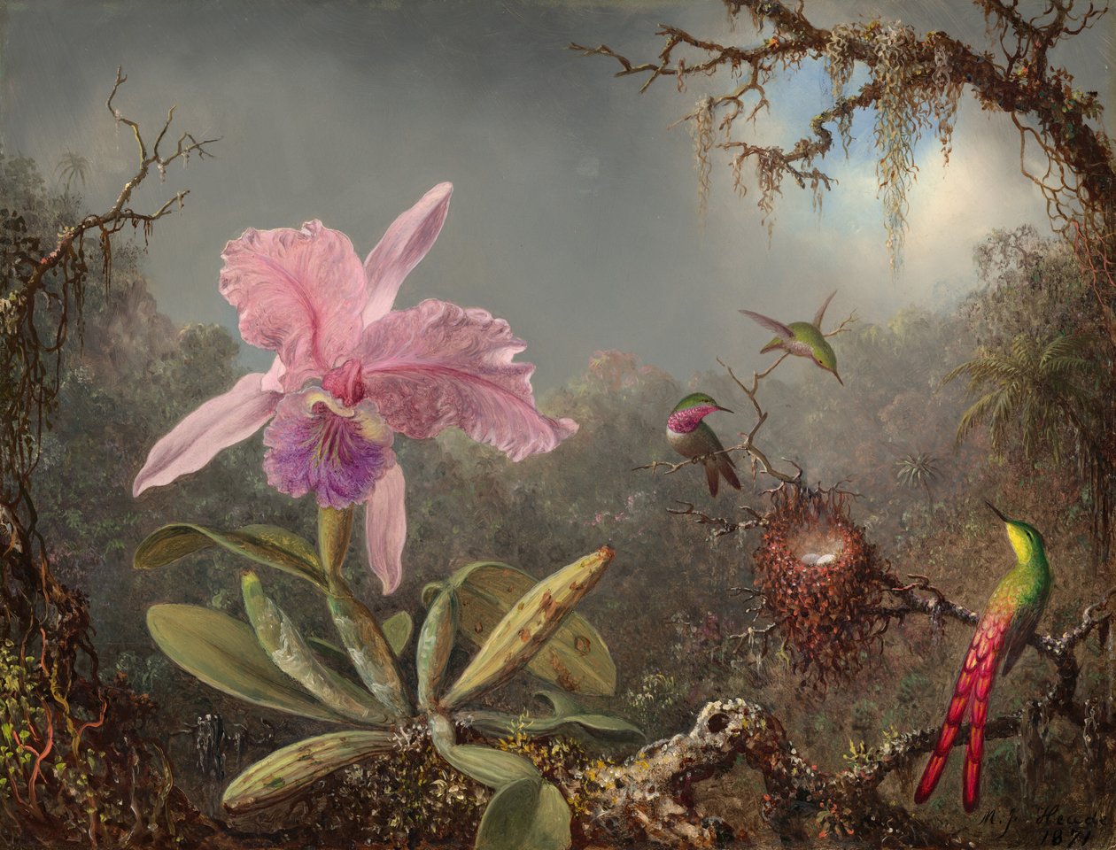 Cattleya orchidea és három kolibri, 1871. alkotó: Martin Johnson Heade