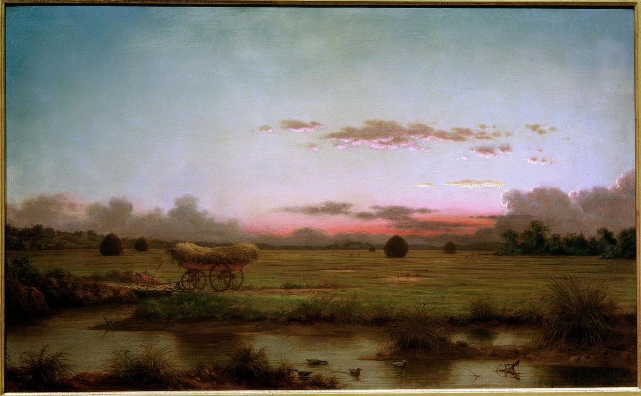 Mocsarak Rhode Islanden alkotó: Martin Johnson Heade