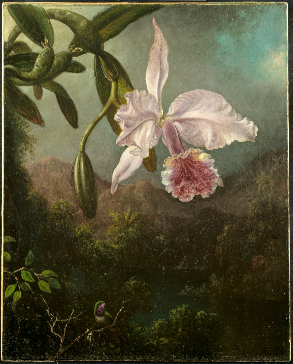 Orchideavirágok, 1873. alkotó: Martin Johnson Heade