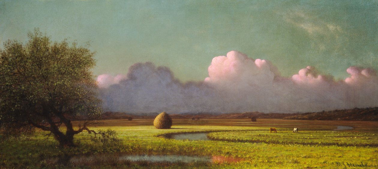 Napfény és árnyék: A Newbury-mocsarak alkotó: Martin Johnson Heade