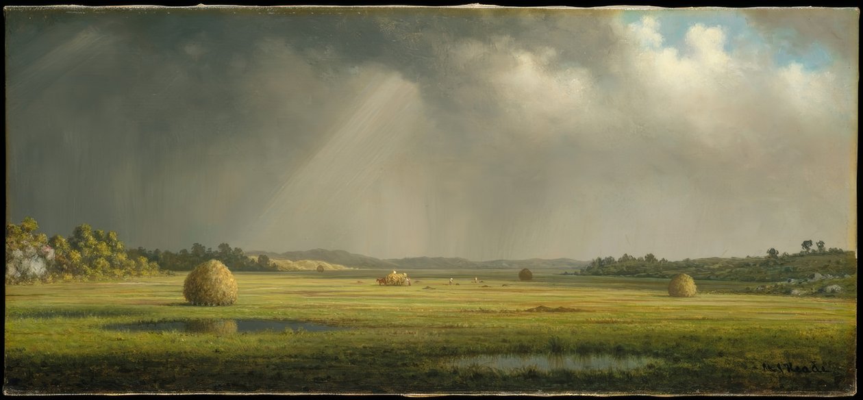 Newburyport Meadows alkotó: Martin Johnson Heade