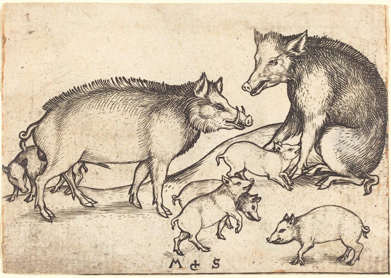 Sertés család alkotó: Martin Schongauer