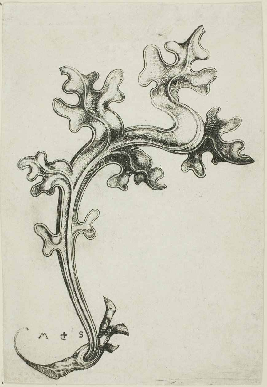 Levél dísz alkotó: Martin Schongauer