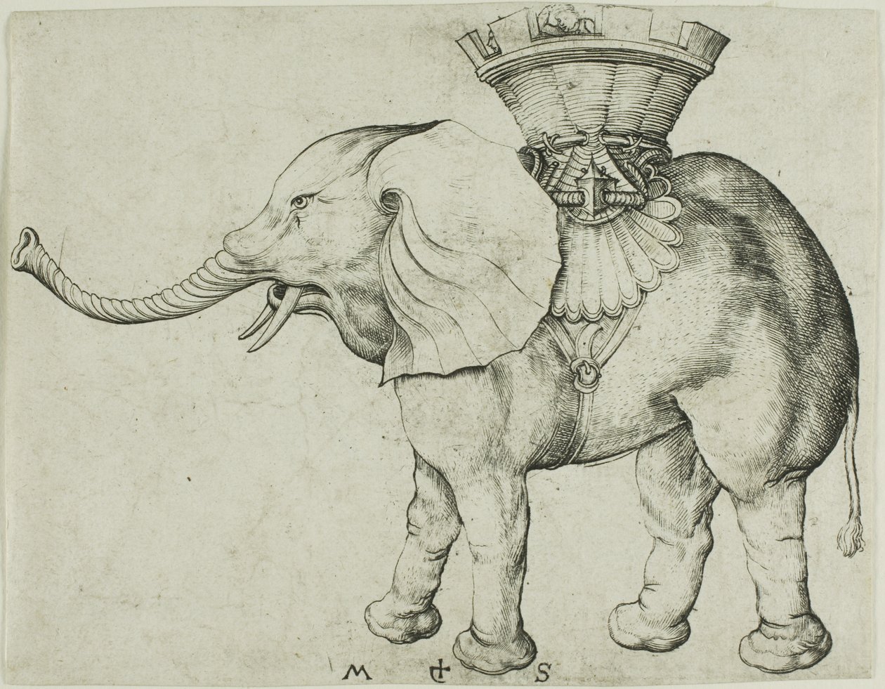 Az elefánt alkotó: Martin Schongauer