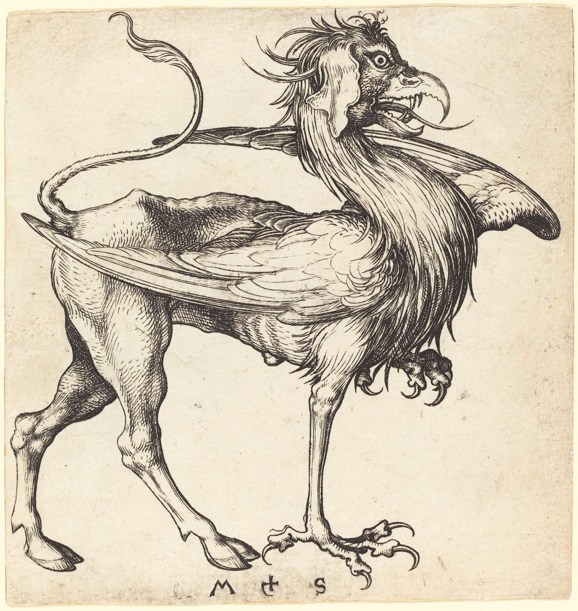 A Griff alkotó: Martin Schongauer