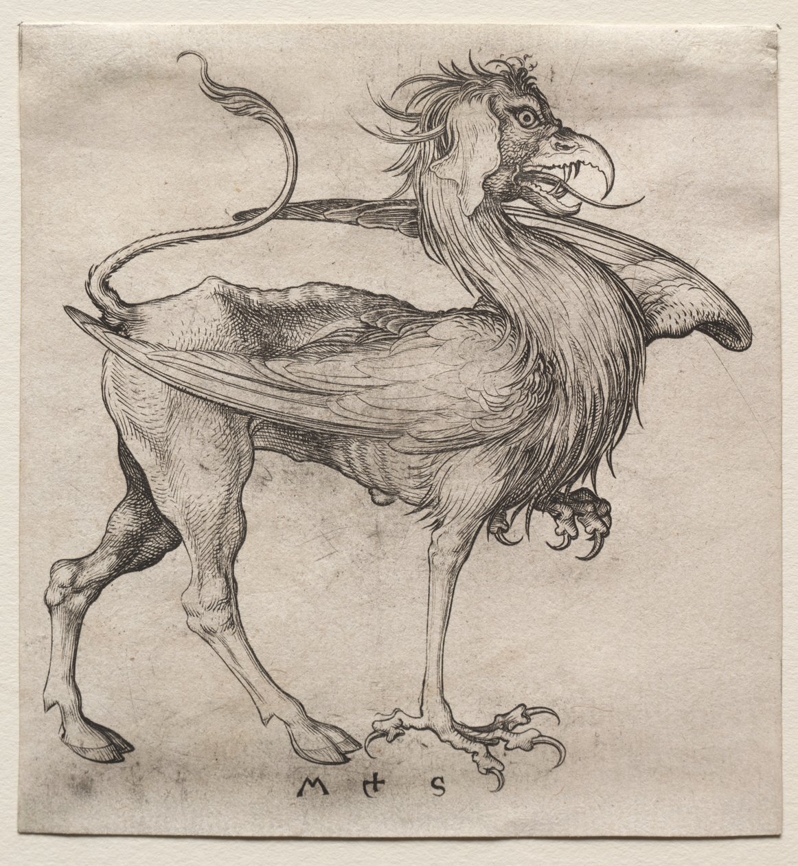 A Griff alkotó: Martin Schongauer