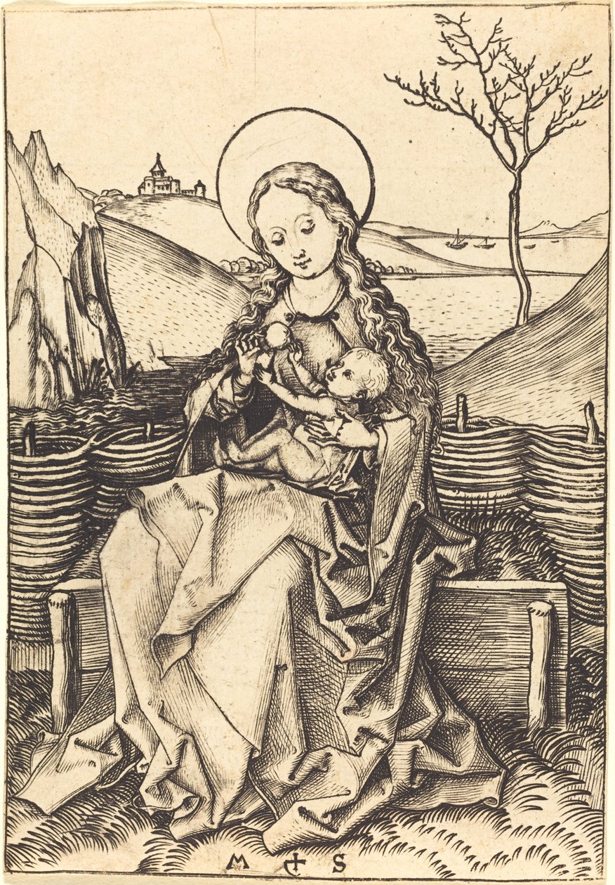 Szűz és gyermek egy füves padon alkotó: Martin Schongauer