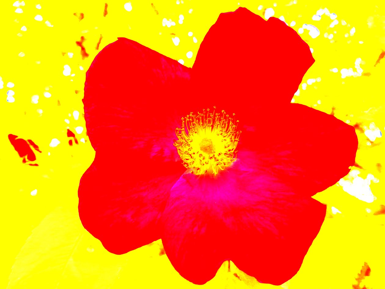 Pop Art Homage Andy Warhol alkotó: Martina Konitzky