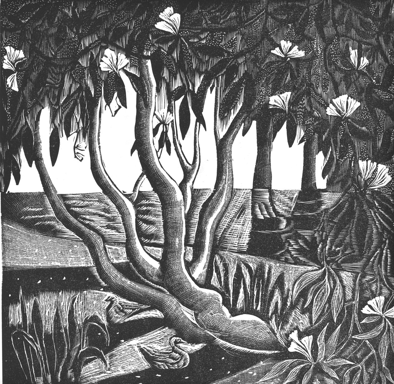 Rhododendrons, Holland Park, 2006 (vinil gravírozás) alkotó: Mary Kuper