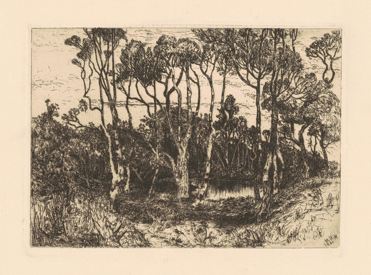 Magány alkotó: Mary Nimmo Moran
