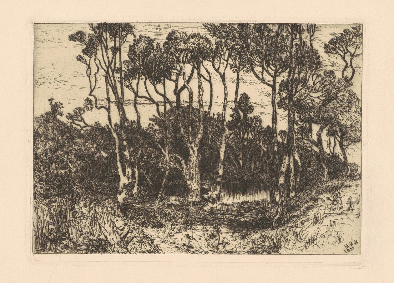 Magány alkotó: Mary Nimmo Moran