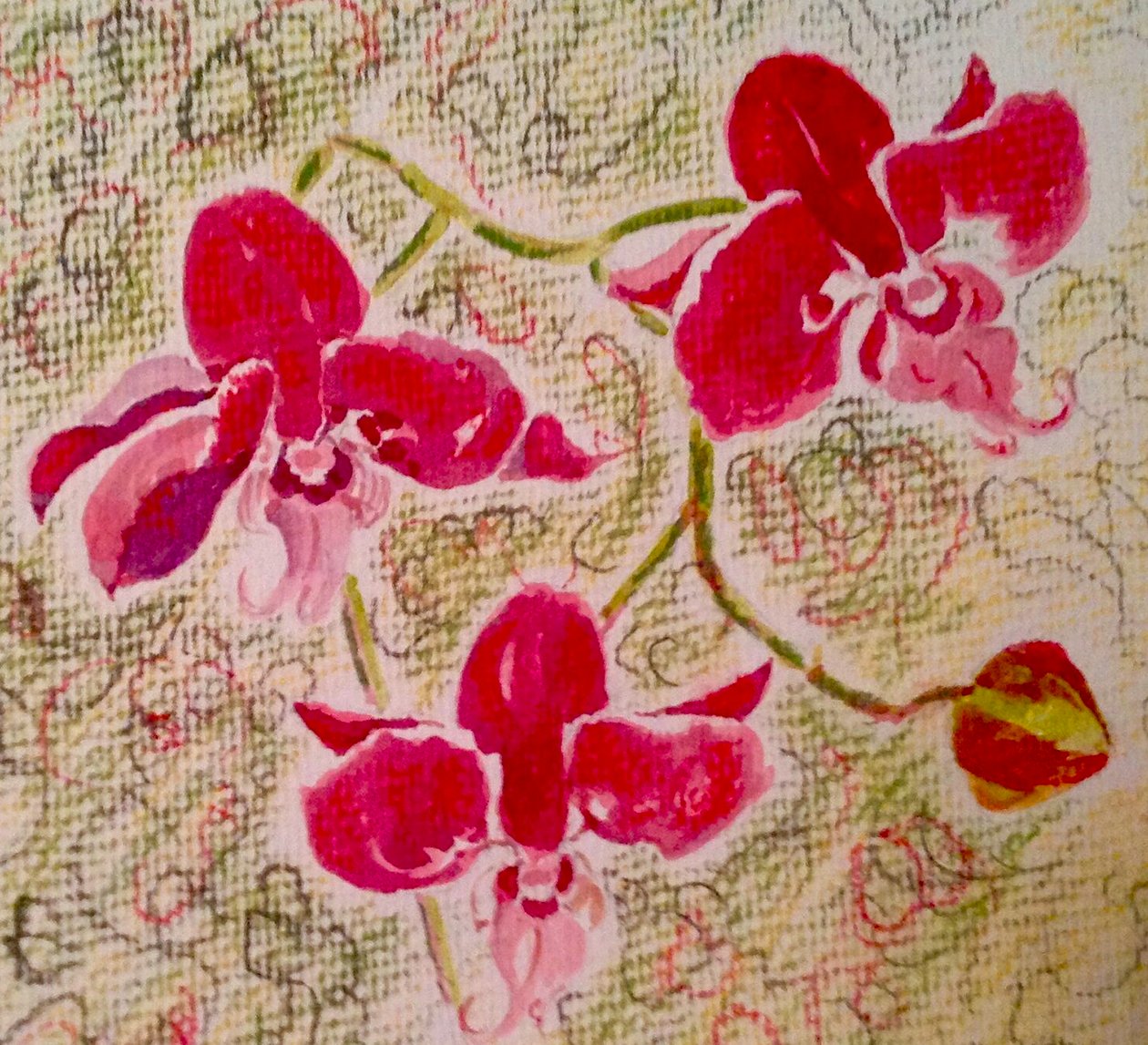 orchideák alkotó: Mary Smith