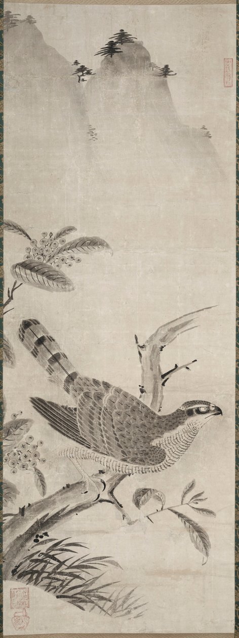 Hawk, 1500-as évek közepe. alkotó: Masayoshi Fujiwara