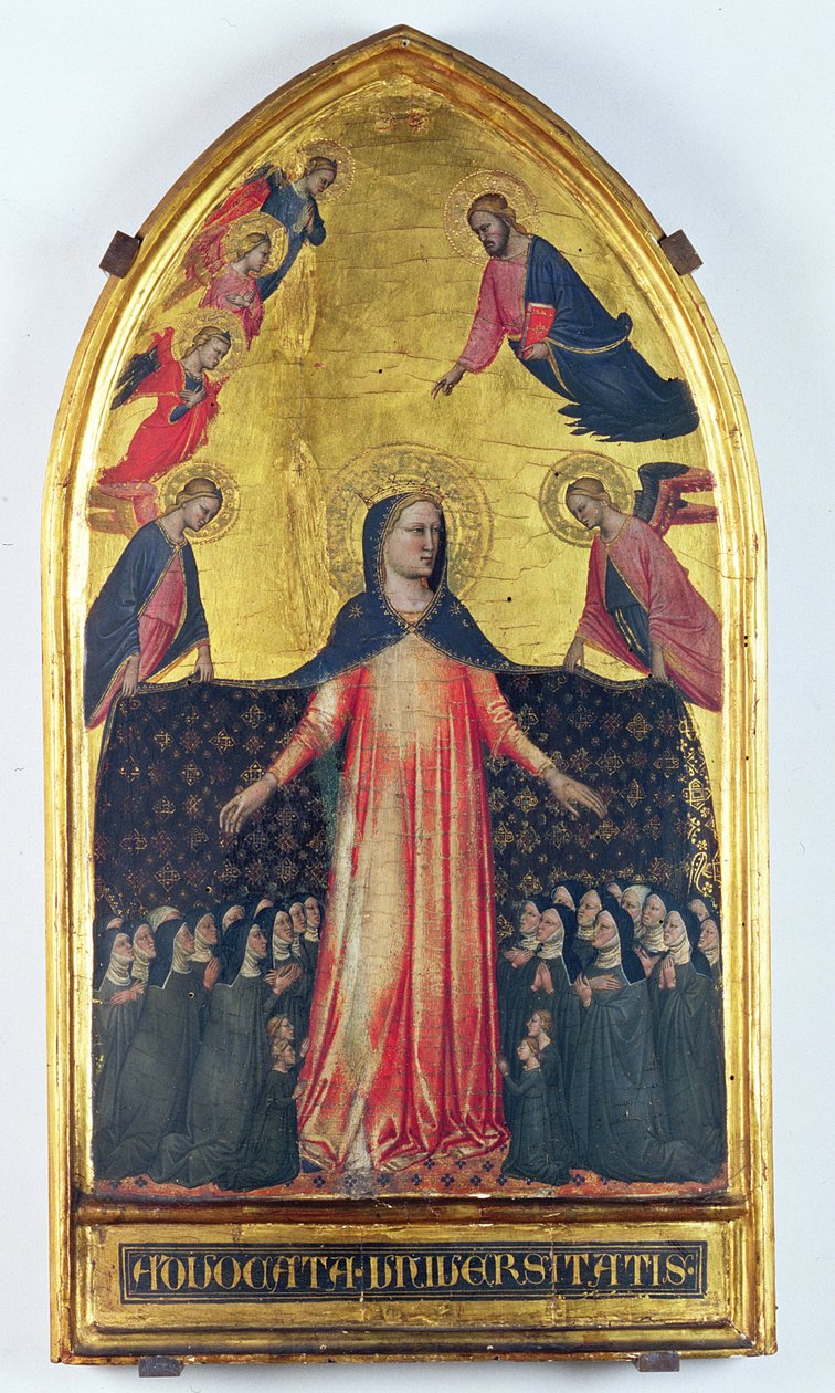 Irgalmas Madonna (tempera a panelen) alkotó: Master of the Accademia Madonna