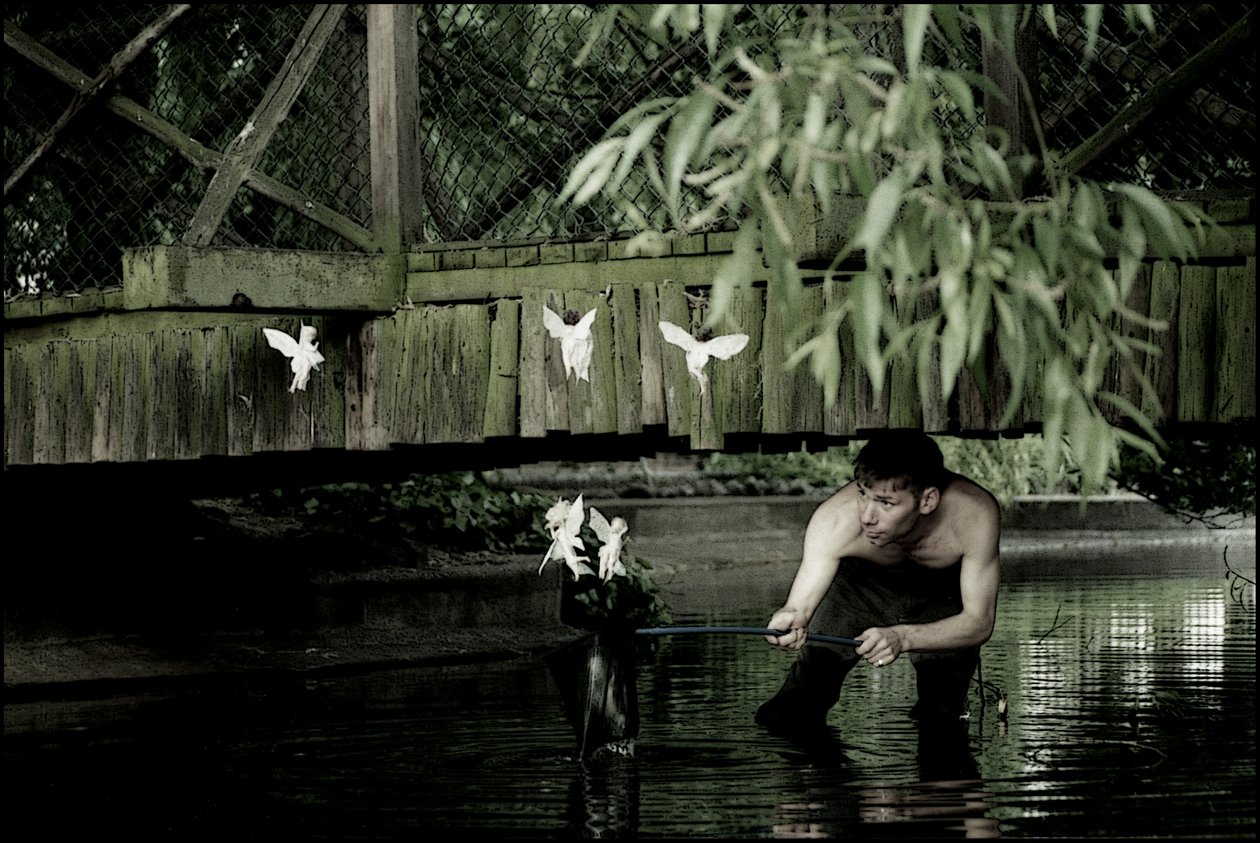 Tündérek elkapása 6 alkotó: Mat Collishaw
