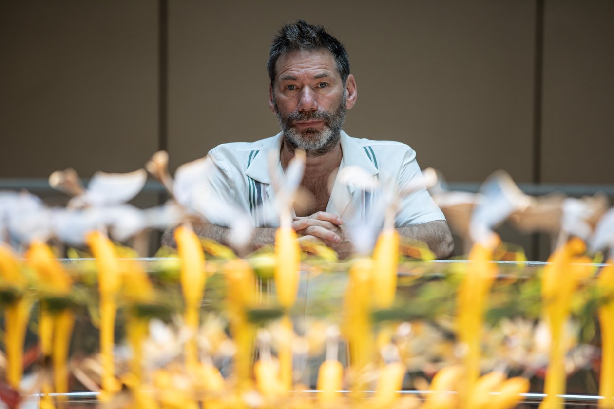 Equinox, 2021 (fénykép) alkotó: Mat Collishaw