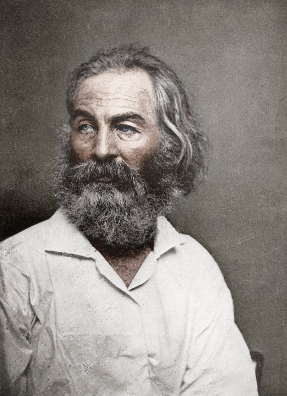 Walt Whitman amerikai költő, 1880-as évek. alkotó: Mathew B. Brady