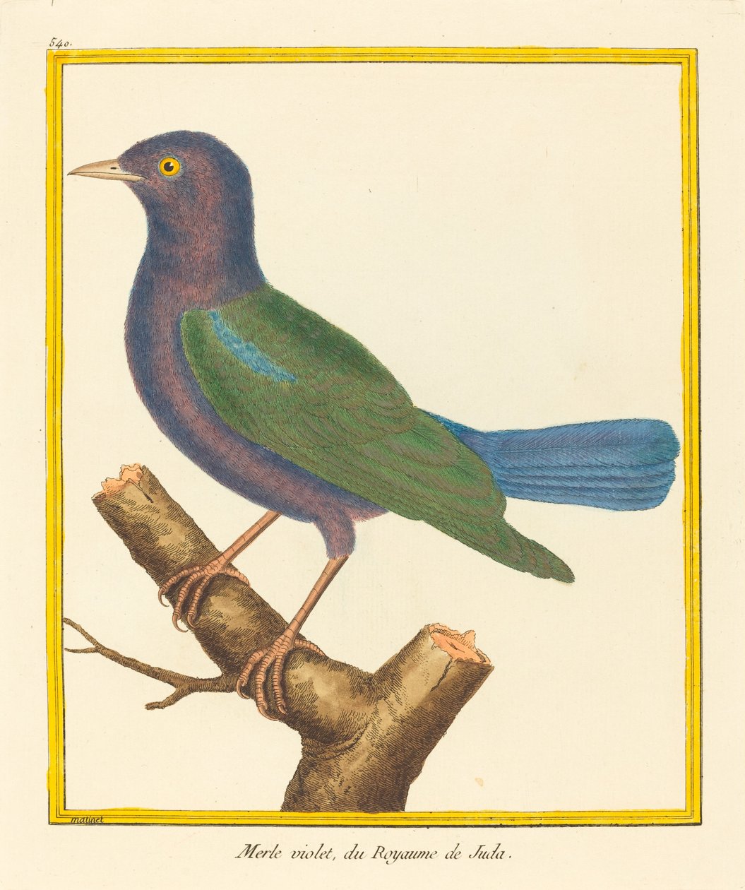 Blackbird, Júda királyságából alkotó: Matinet