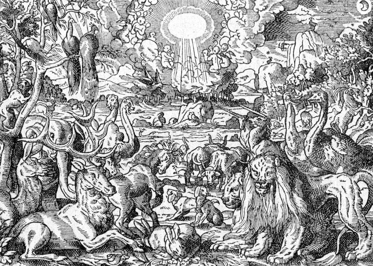 Paradise alkotó: Matthaus the Elder Merian