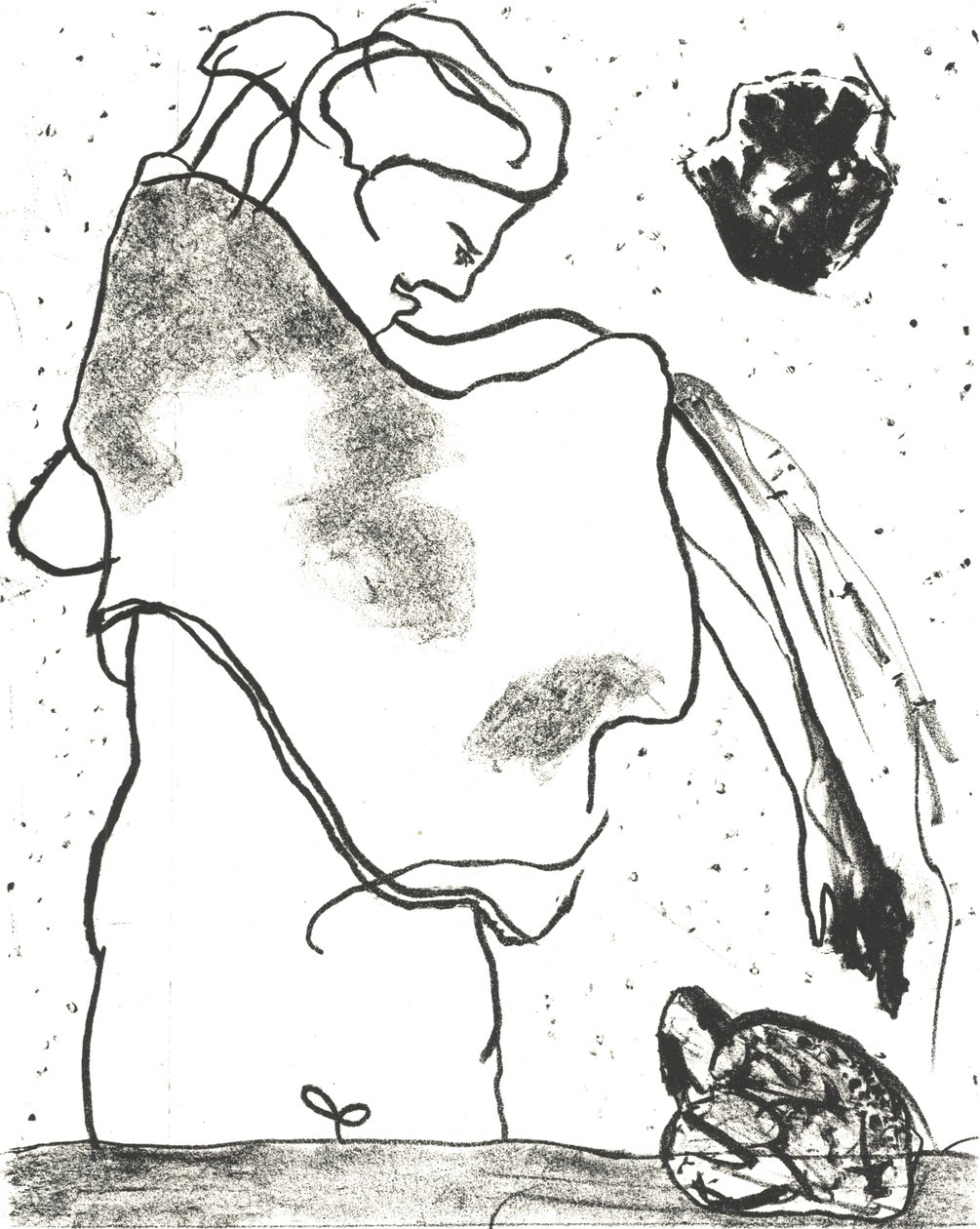Des Bêtes" Artist Book 2, 2018 (litográfia) alkotó: Matthew Hilton