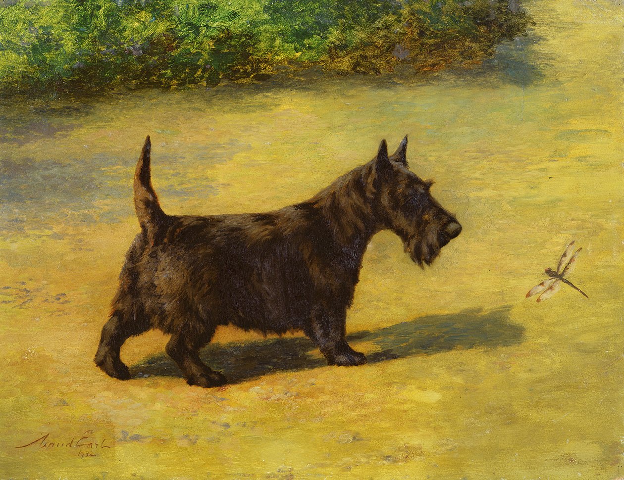 Érdeklődő pillantás alkotó: Maud Earl