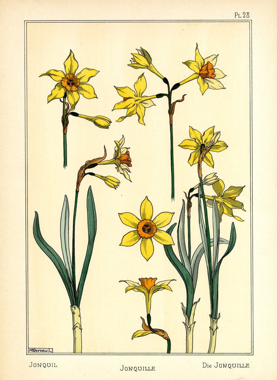 A Jonquil (színes litó) alkotó: Maurice Pillard Verneuil