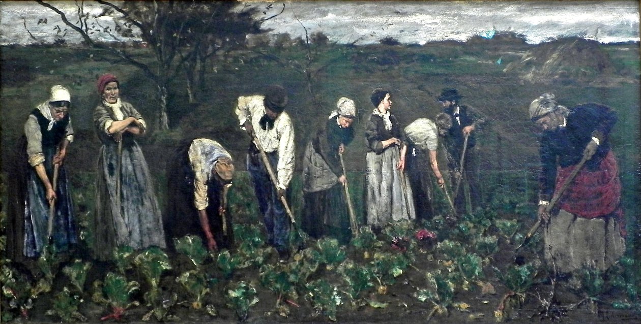 Munkás a répaföldön alkotó: Max Liebermann