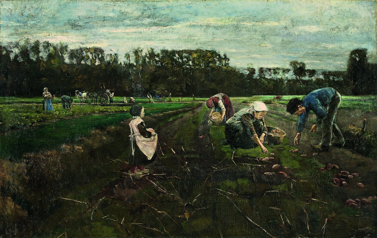 Burgonya betakarítás alkotó: Max Liebermann