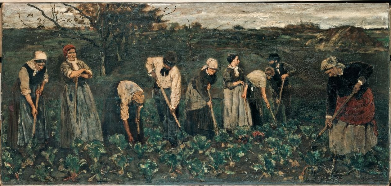 Dolgozók a répaföldön alkotó: Max Liebermann