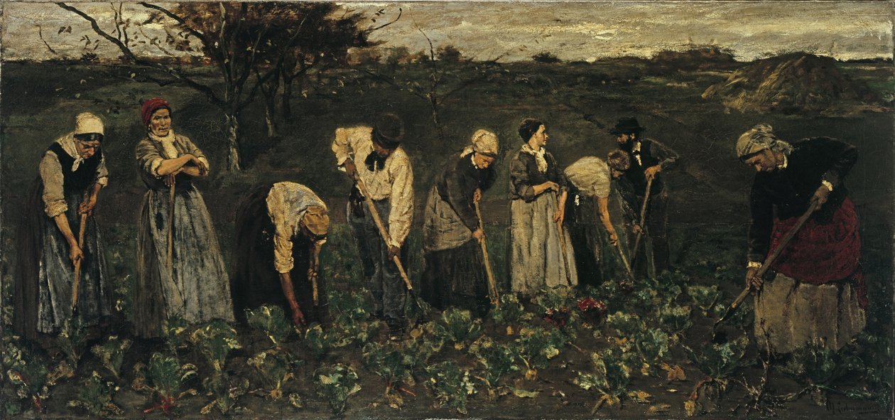 Dolgozók a répaföldön alkotó: Max Liebermann