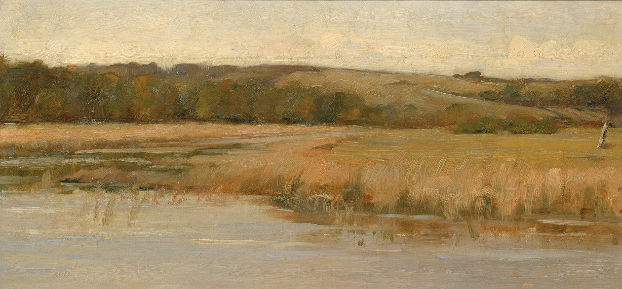 Hill and Marshland, 19. század vége – 20. század eleje. alkotó: Max Weyl