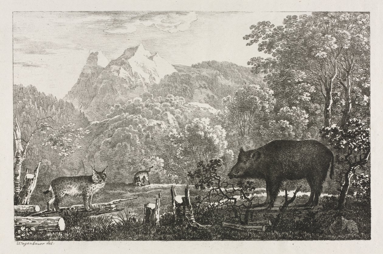 Wild Boar, Wildcat and Lynx   1308457   hu       hungarian Successfully Translated  Original: Standing Magus (recto); Sketch of Stable and Trees (verso) Translat: Standing Magus (recto); Sketch of Stable and Trees (verso) 1290828 hu hungarian Successfully  alkotó: Maximilian Josef Wagenbauer